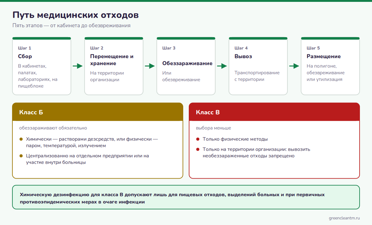 Пять этапов обращения с медицинскими отходами от кабинета до утилизации