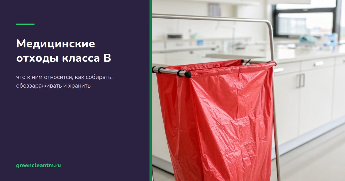 Медицинские отходы класса В: что к ним относится, как собирать, обеззараживать и хранить